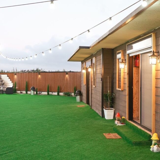 f3995f44-581f-4363-b569-efe75ac710a9